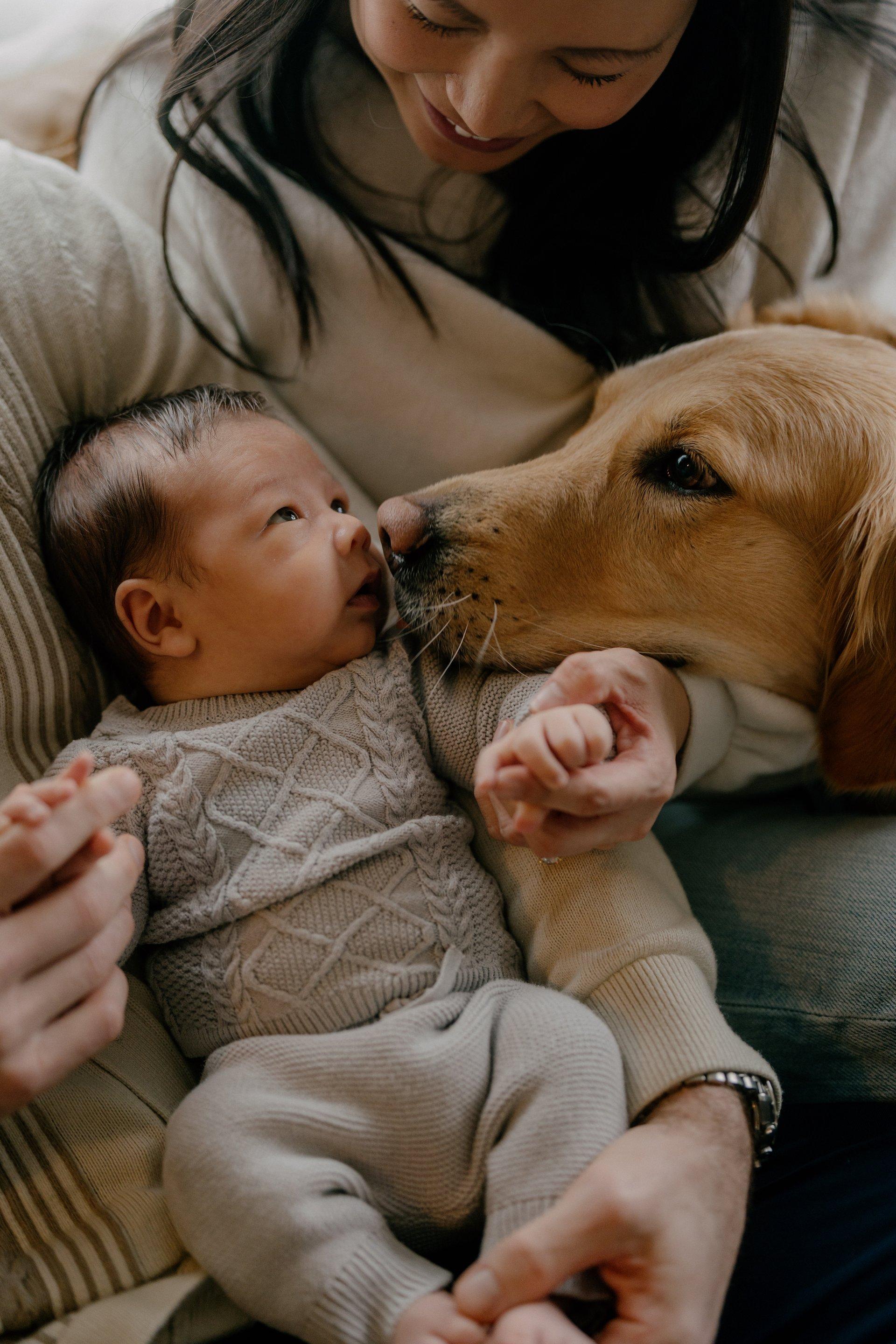 A story that begins before birth